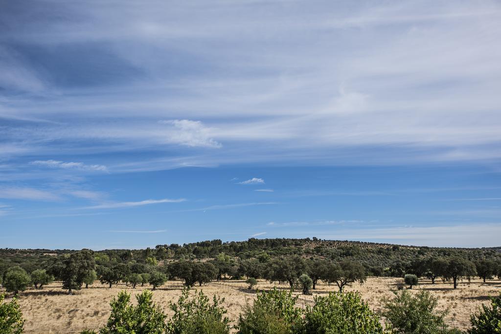Herdade Dos Alfanges "The Barn" Viana do Alentejo Bagian luar foto